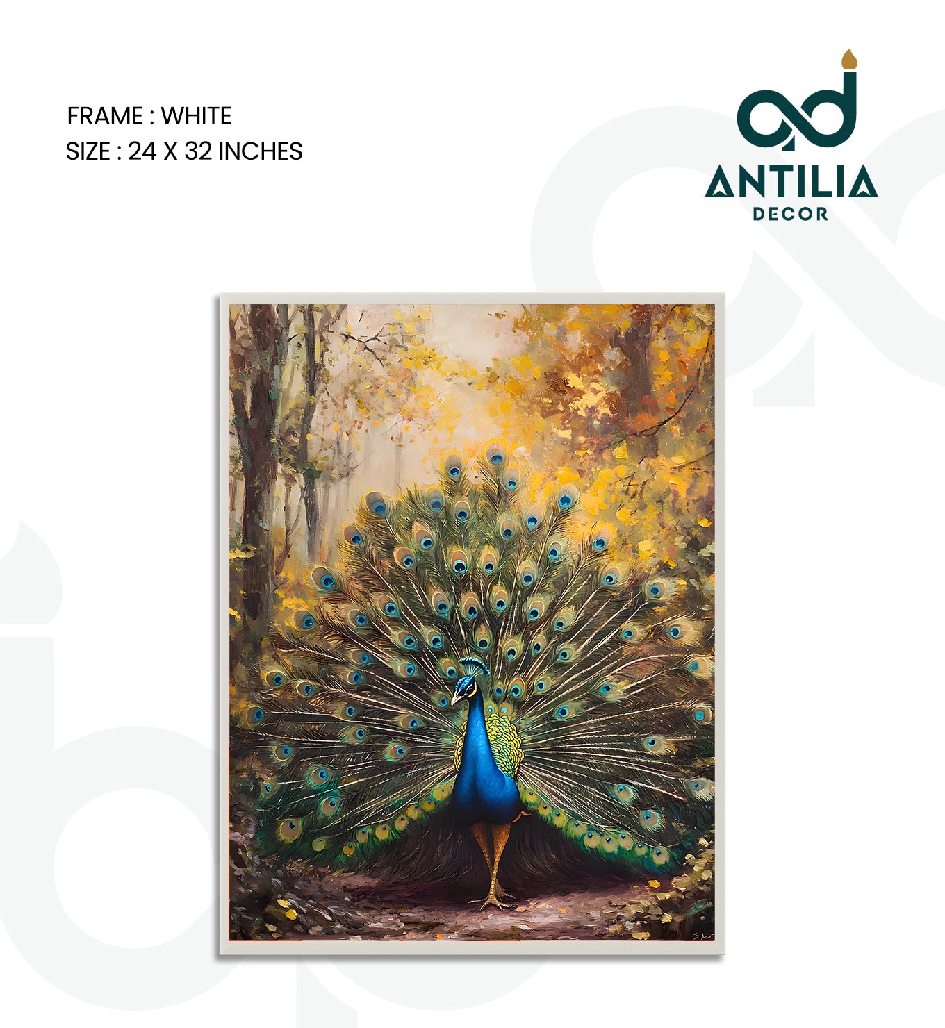 Peacock- Radiant Display