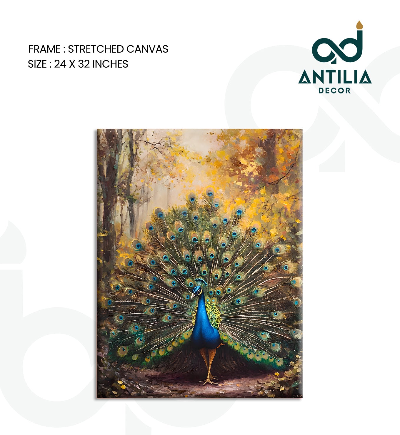 Peacock- Radiant Display