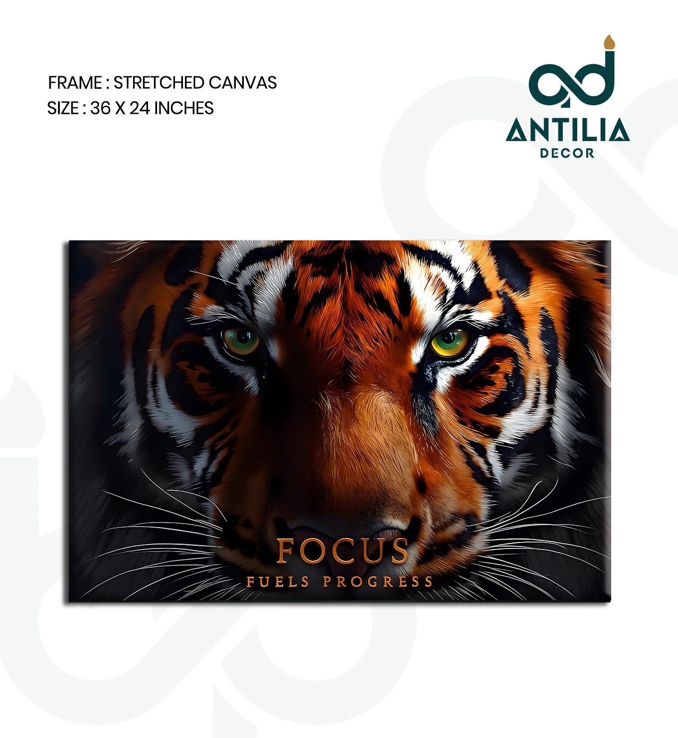 Focus fuels progress