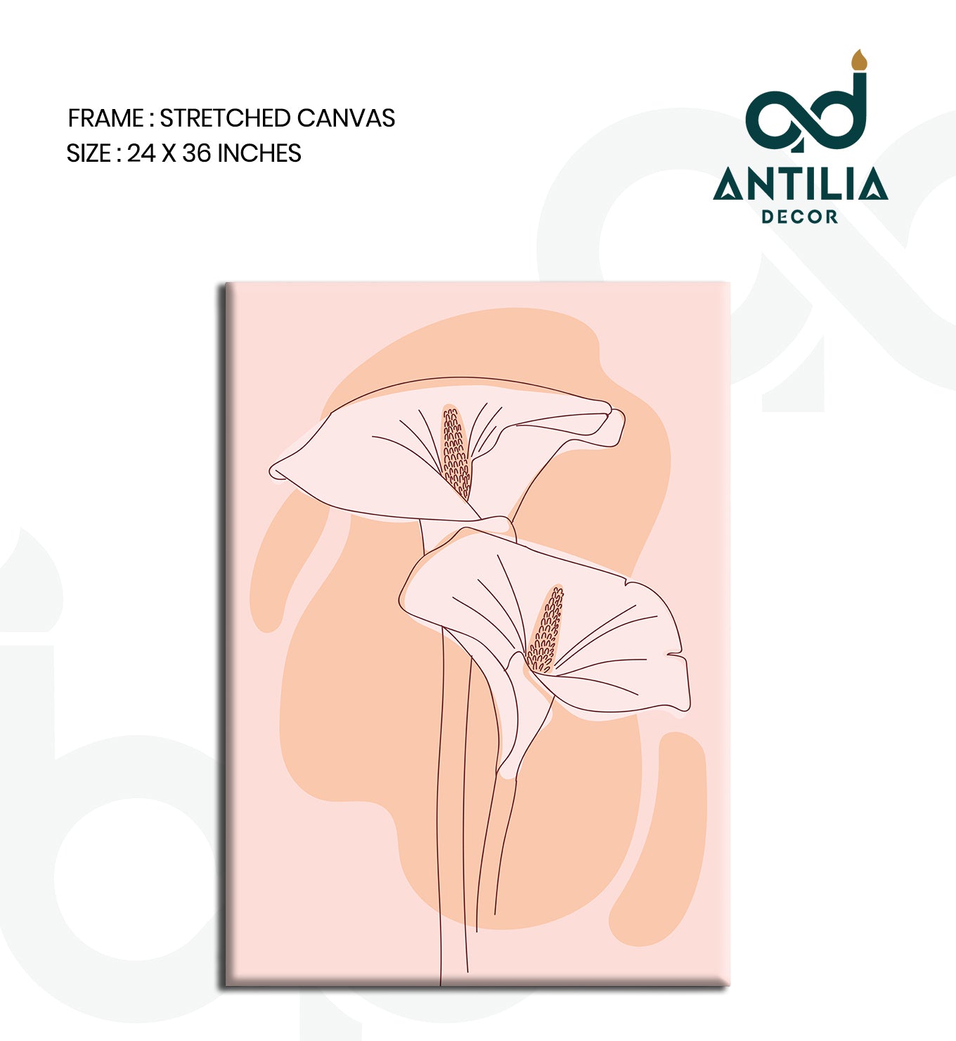 Blushing Calla