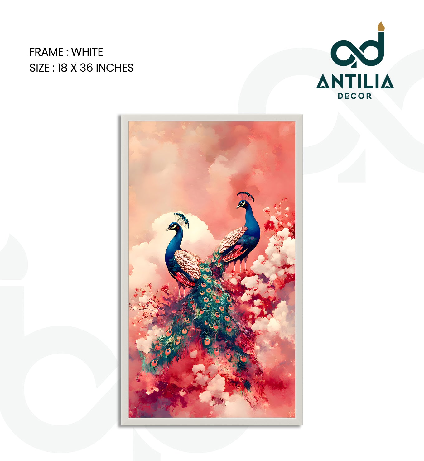 Peacock- The Mating Ritual