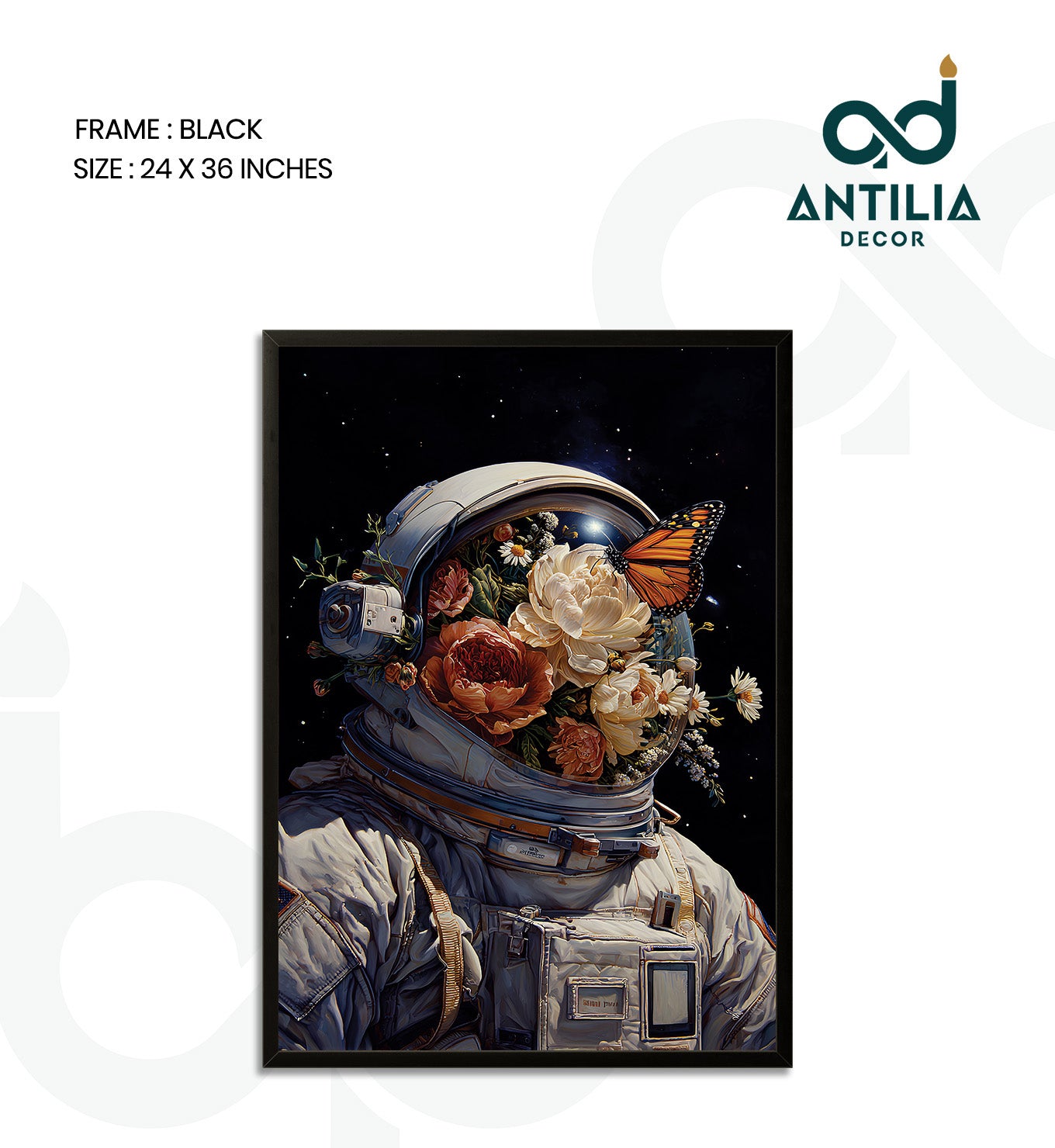 Journey of Discovery