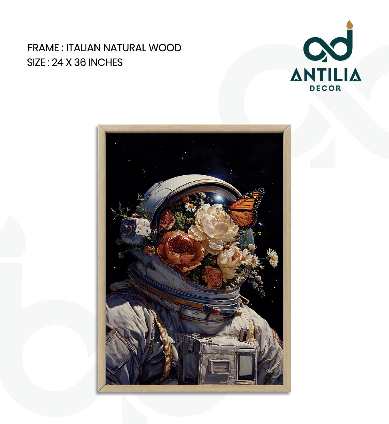 Journey of Discovery