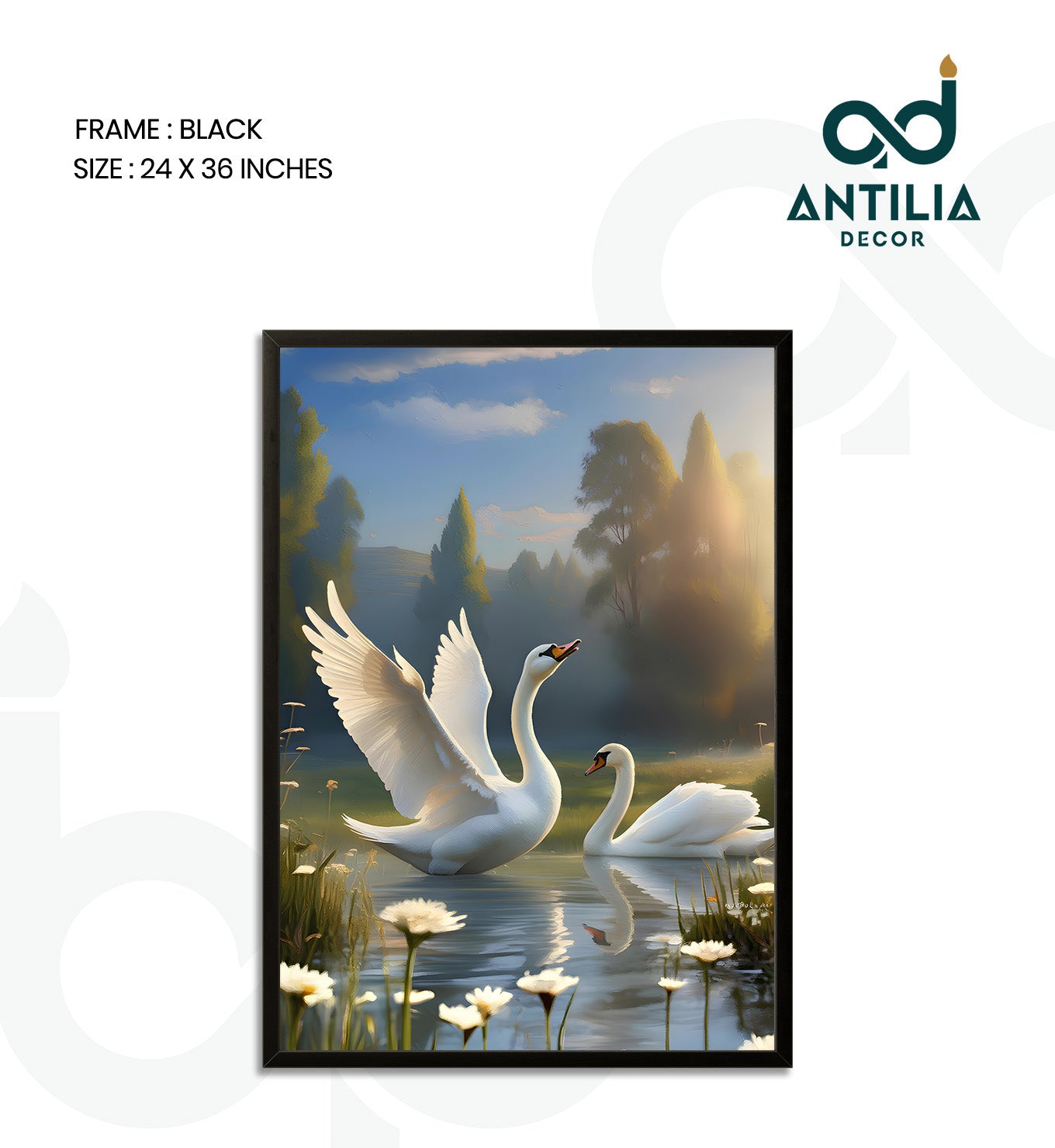 Swans- Graceful Ascent