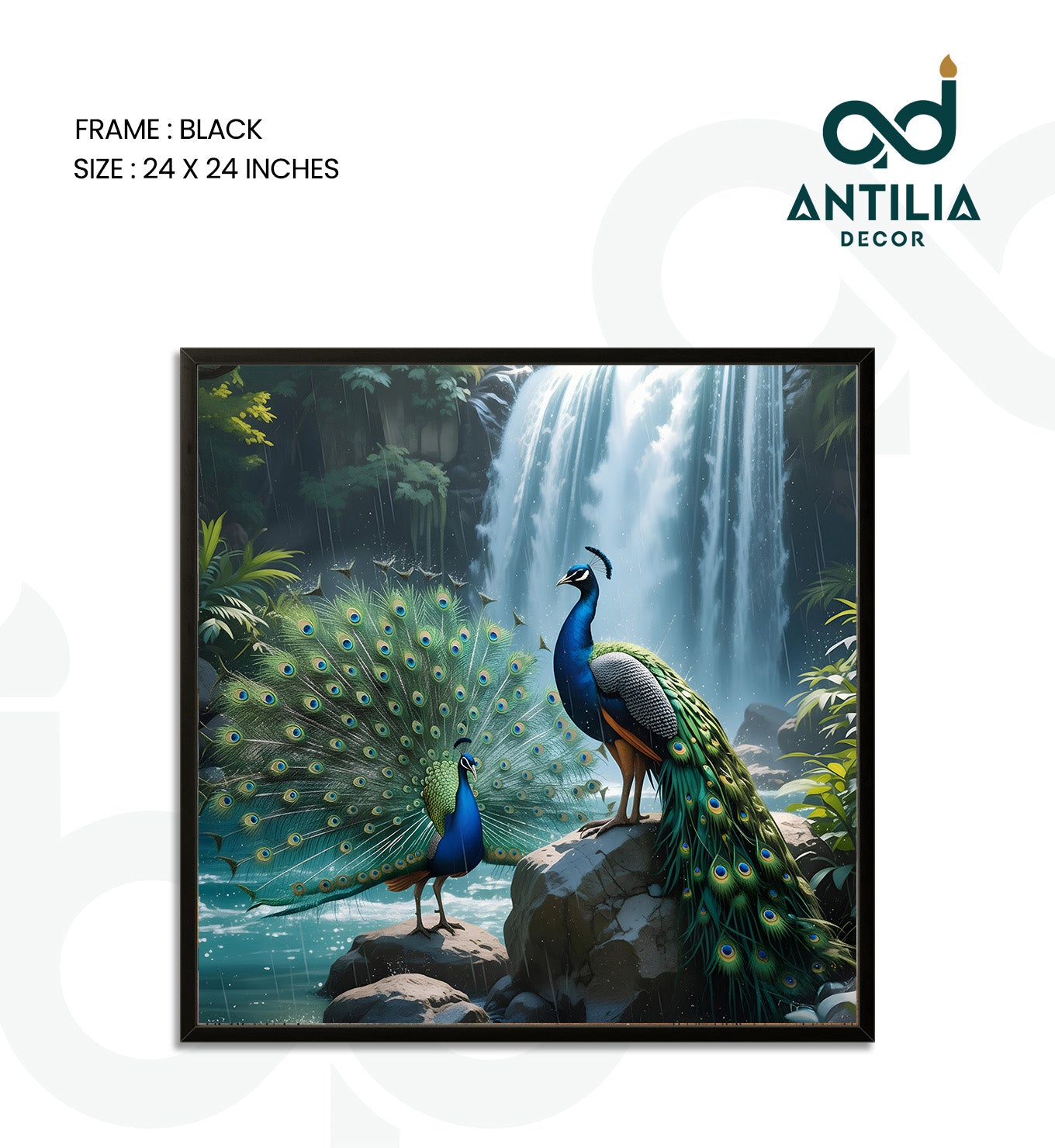 Peacock- Emerald Raindance