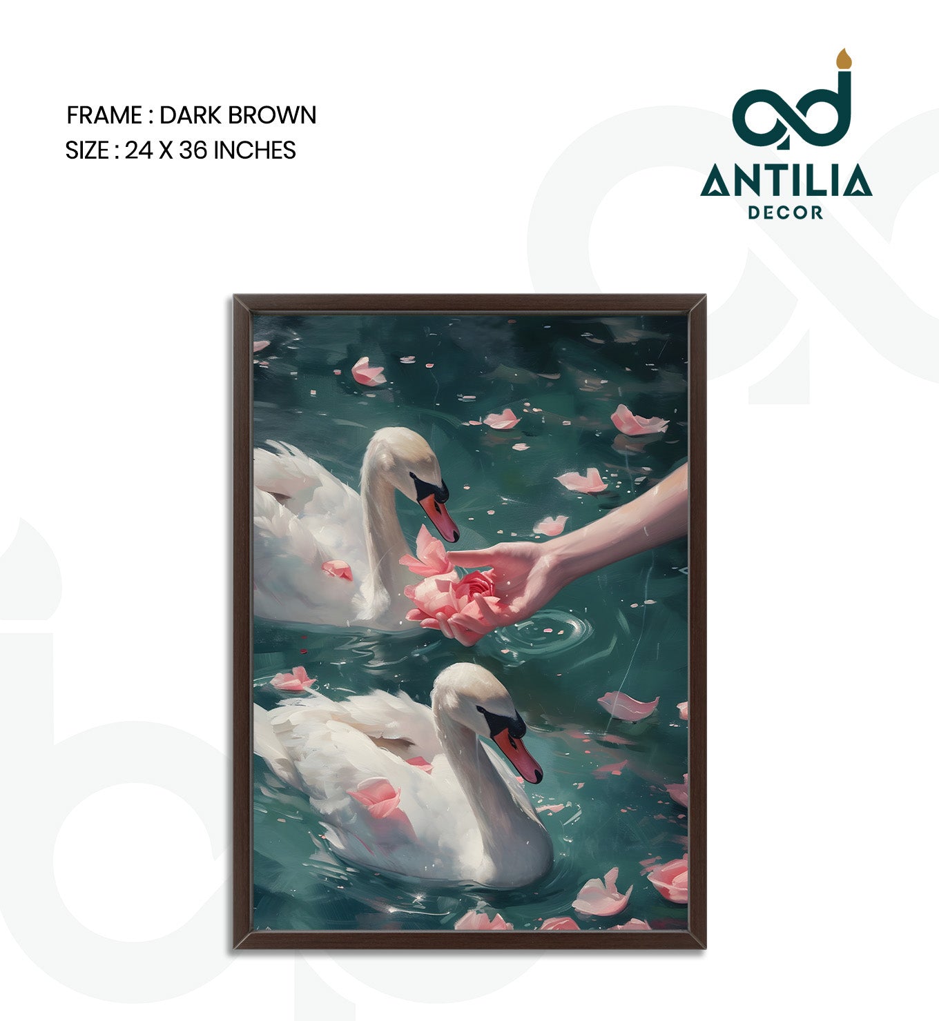 Swans and Roses