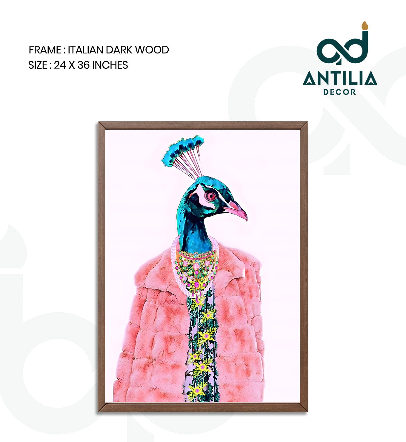 Peacock- Feathered Fashion