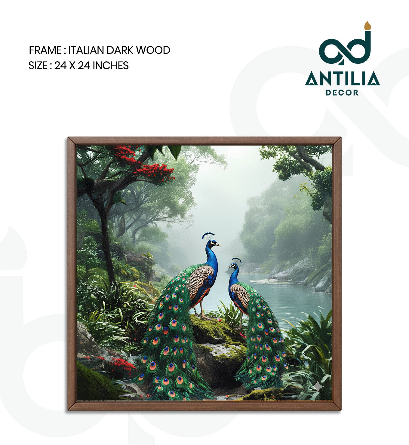 Peacock- Rainforest Royalty