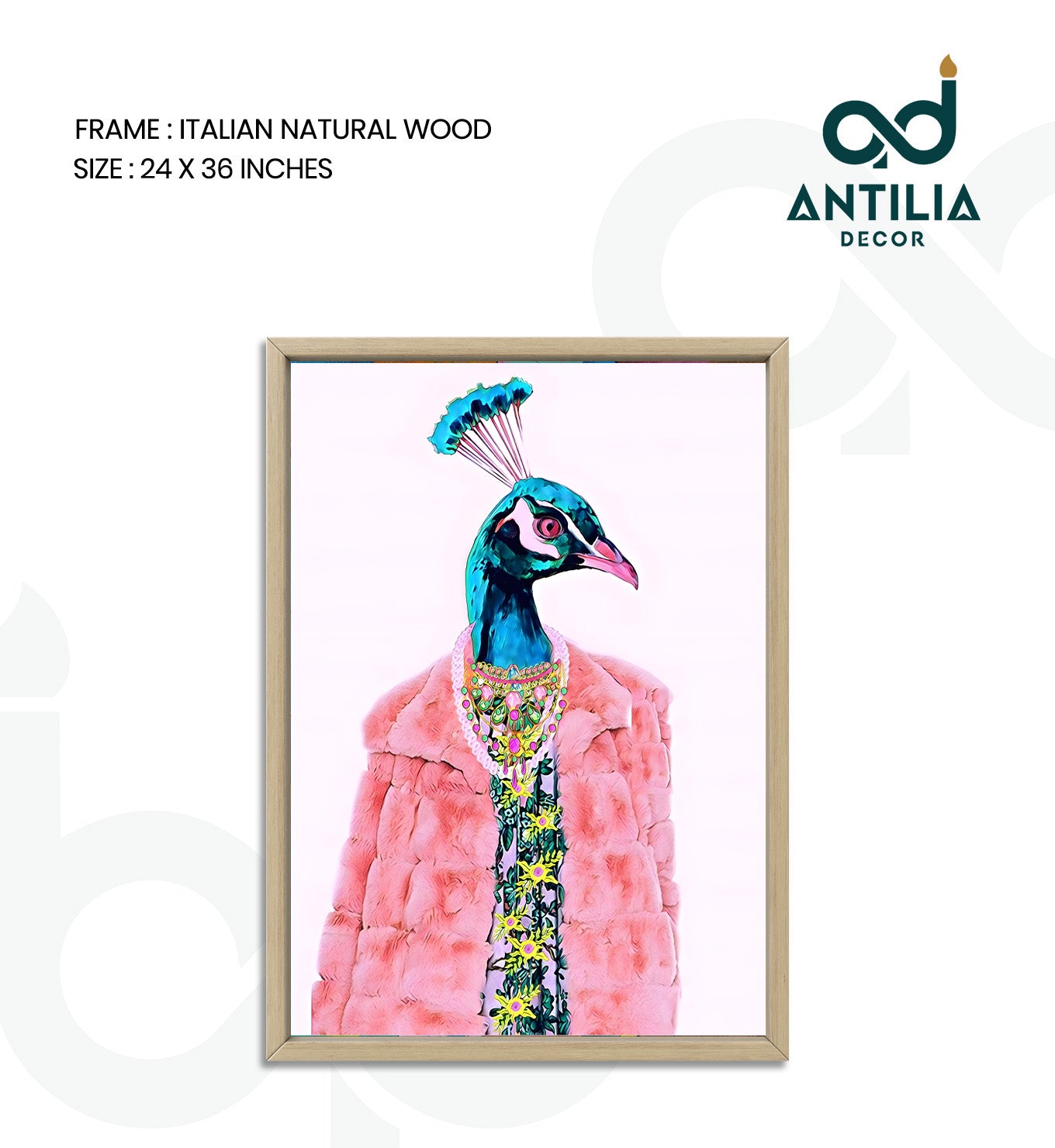 Peacock- Feathered Fashion