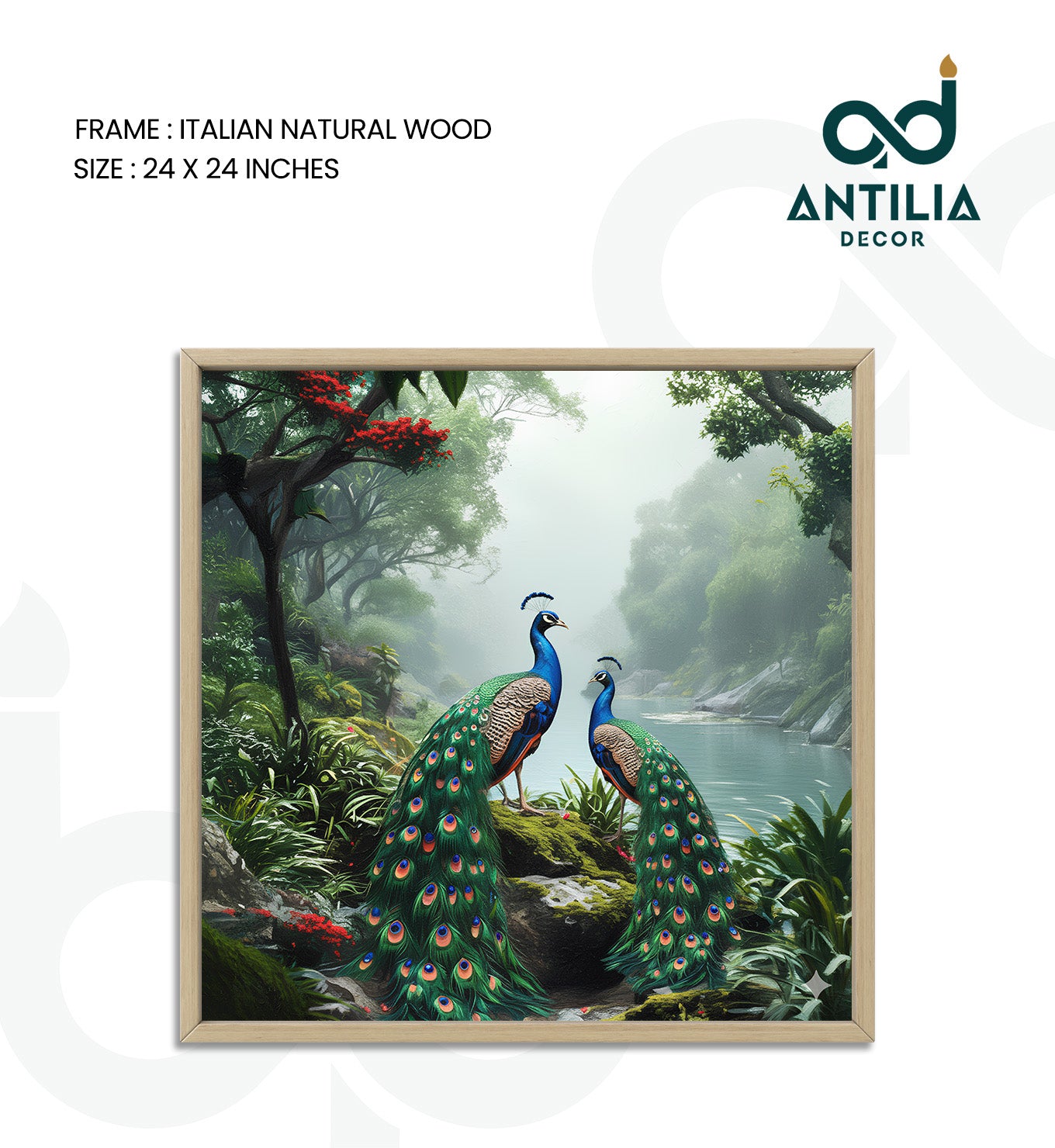Peacock- Rainforest Royalty