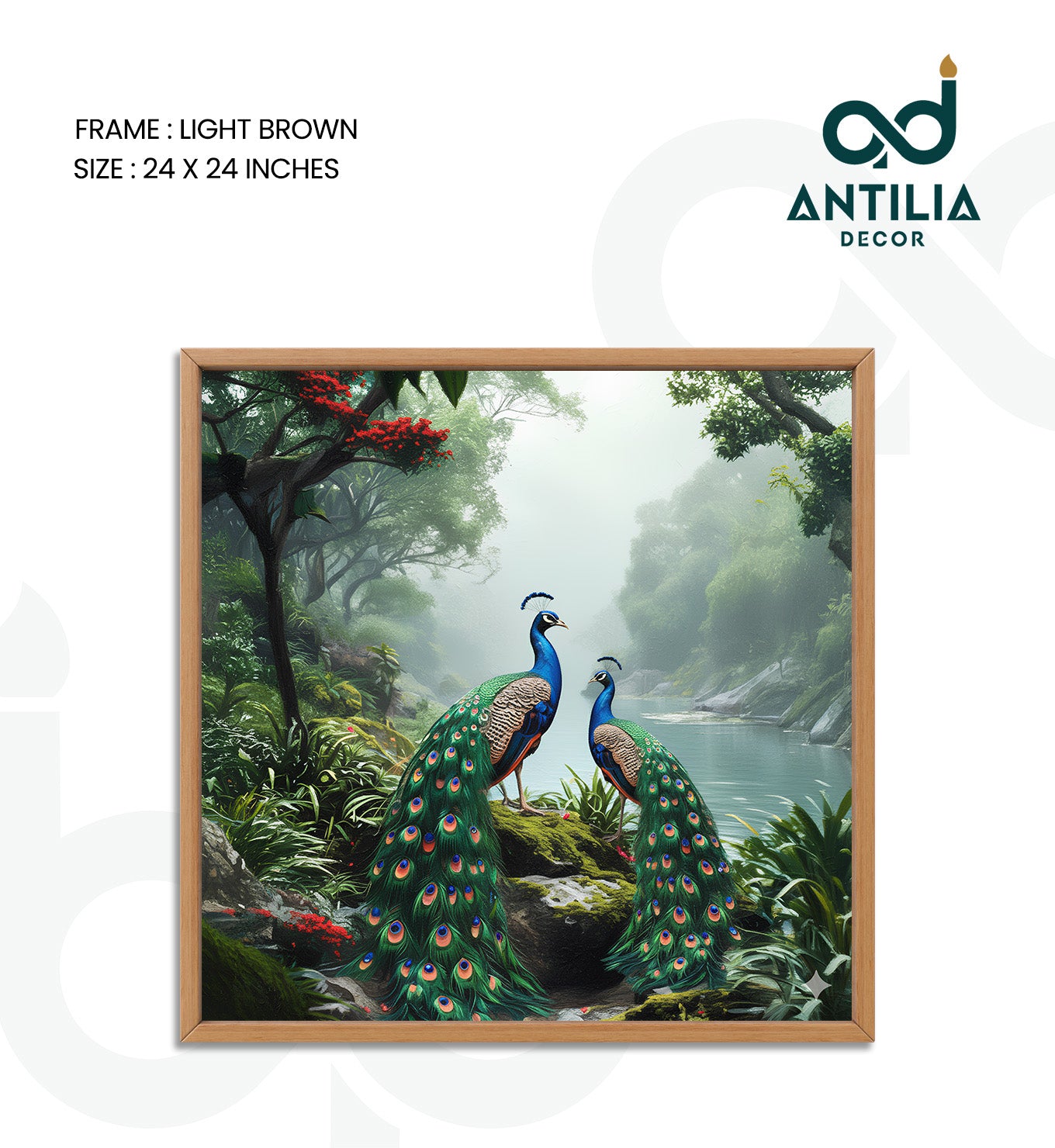 Peacock- Rainforest Royalty