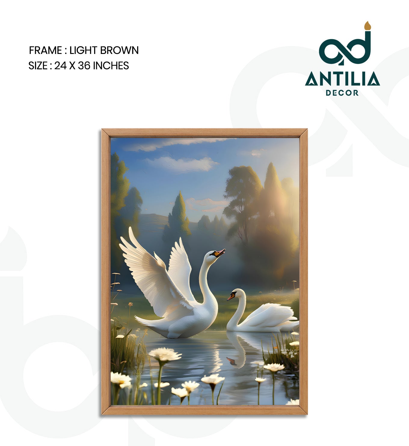 Swans- Graceful Ascent