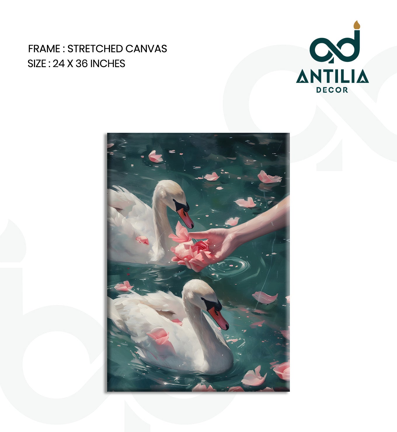 Swans and Roses