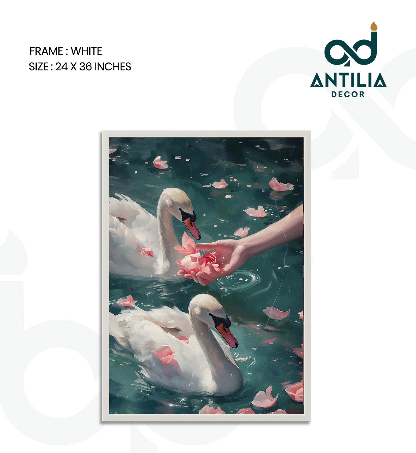 Swans and Roses